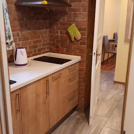 Dum U Cerne Kocky - Appartement Kosova Hora